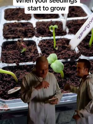 Little things #meme #MemeCut #garden #gardener #seeds #seedlings #containergarden #growyourown #growyourownfood #gardentok #gardenmeme #allotment #allotmentuk 