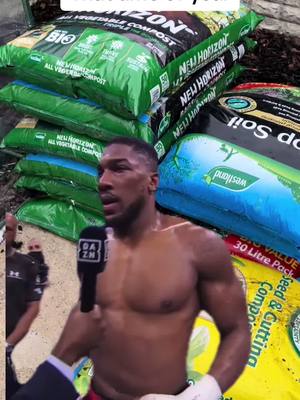 #CapCut #garden #gardener #containergarden #growyourown #growyourownfood #gardentok #gardenmeme #allotment #allotmentuk #meme #MemeCut 